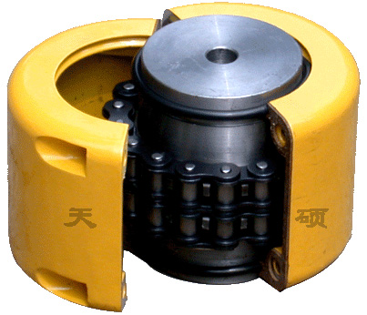 Roller Chain Coupling